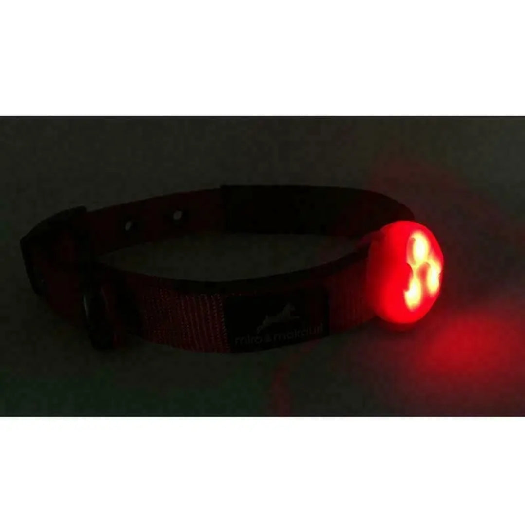 Dog Safety Collar Or Harness LED Light Blinkers