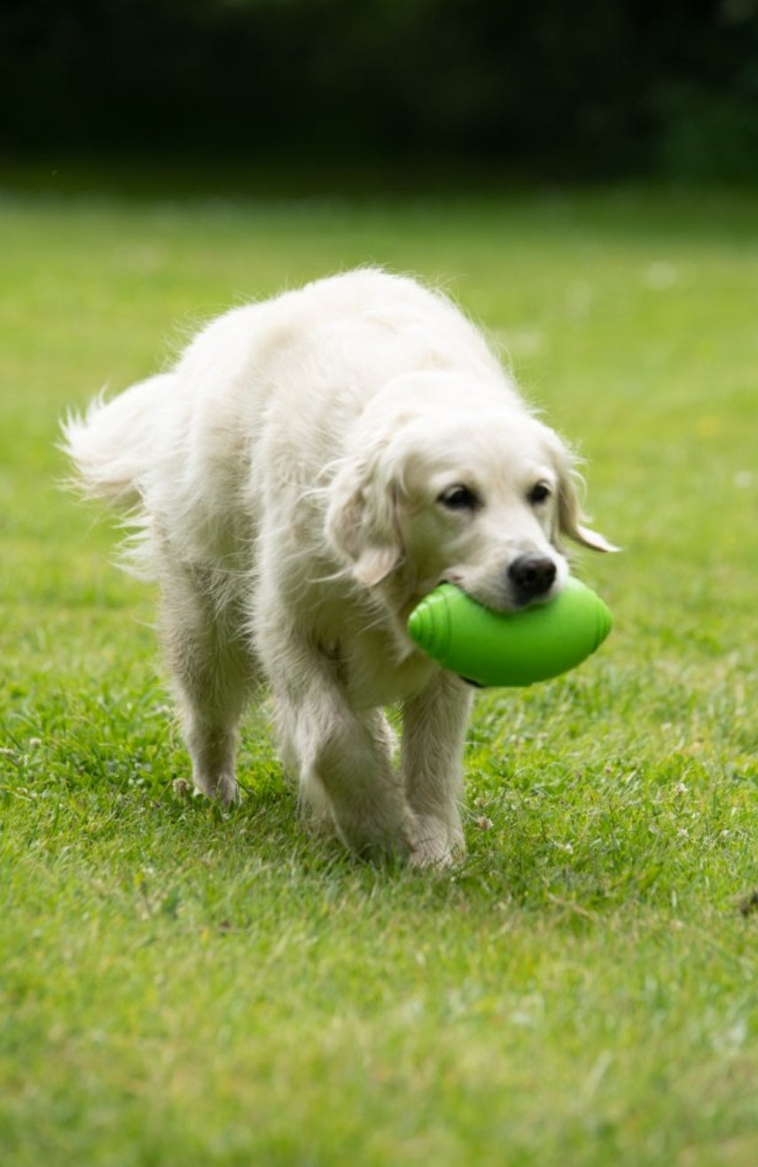 Toyz Rugby Ball Dog Toy