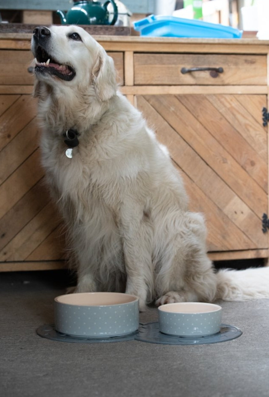 Rubber Placemat For Pet Bowls