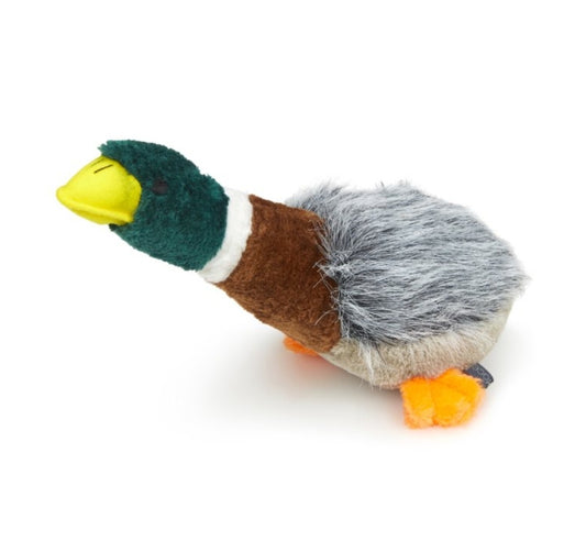 Honking Duck Plush Dog Toy
