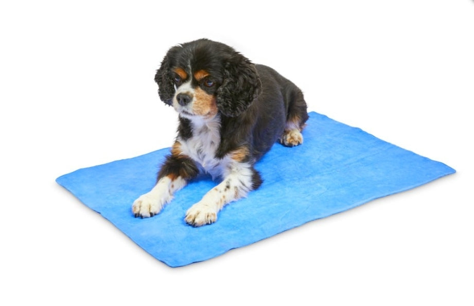 Cooling Pet Towel