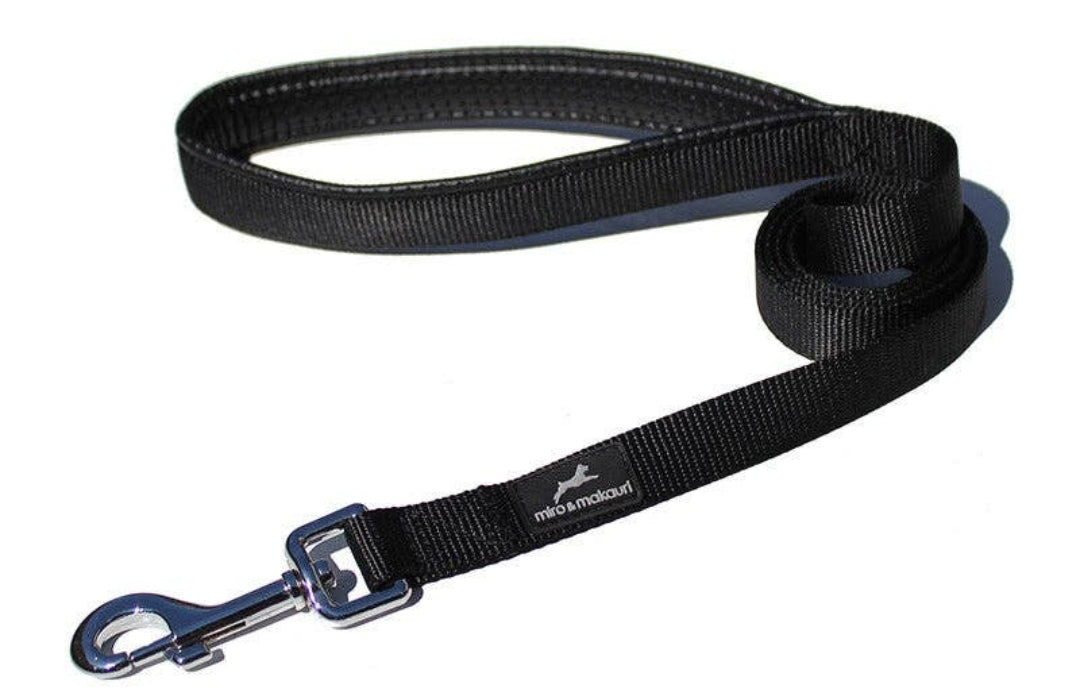 Belay Nylon Dog Lead With Padded Handle