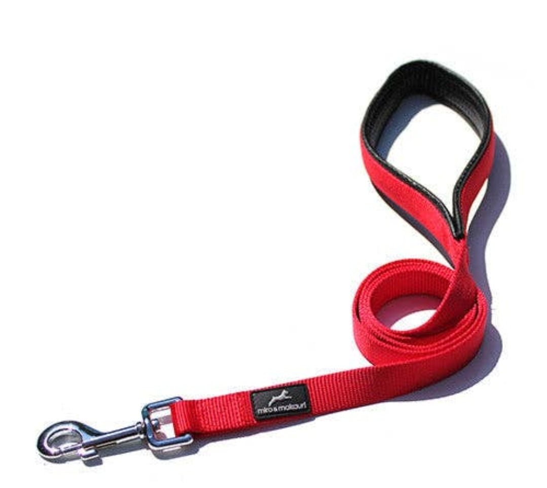 Belay Nylon Dog Lead With Padded Handle