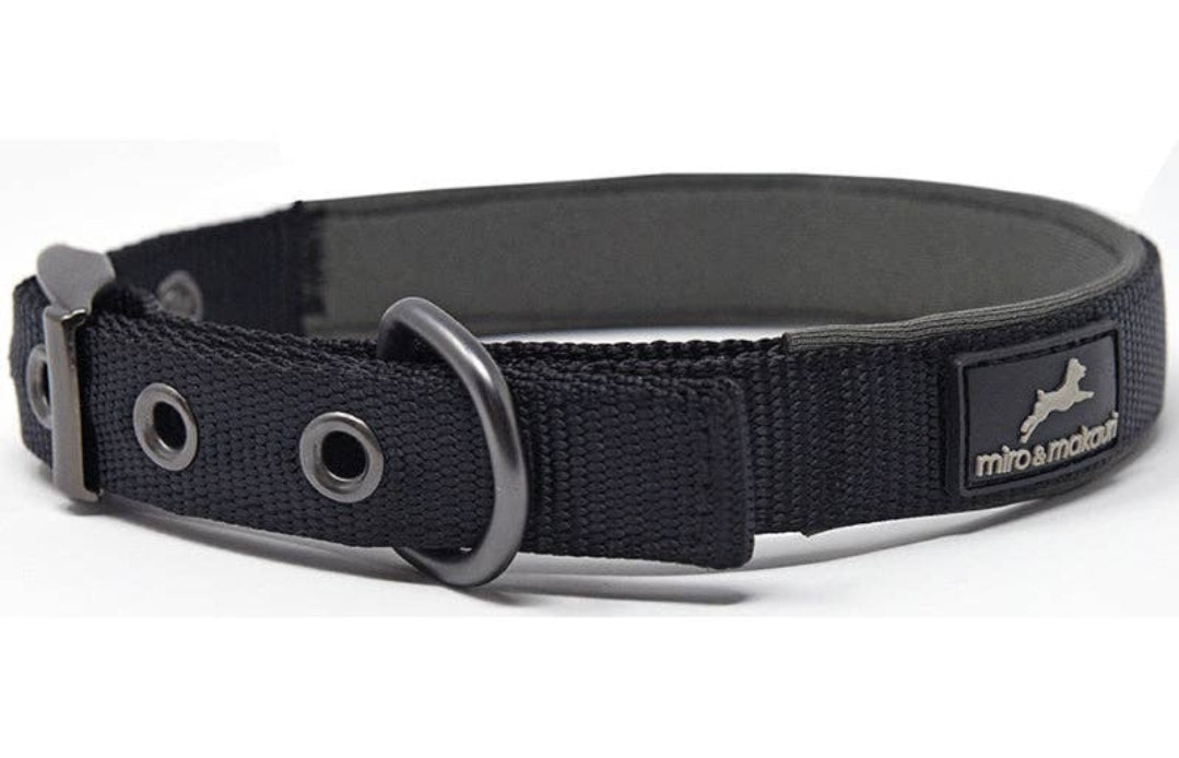 Padded Nylon Buckle Dog Collar