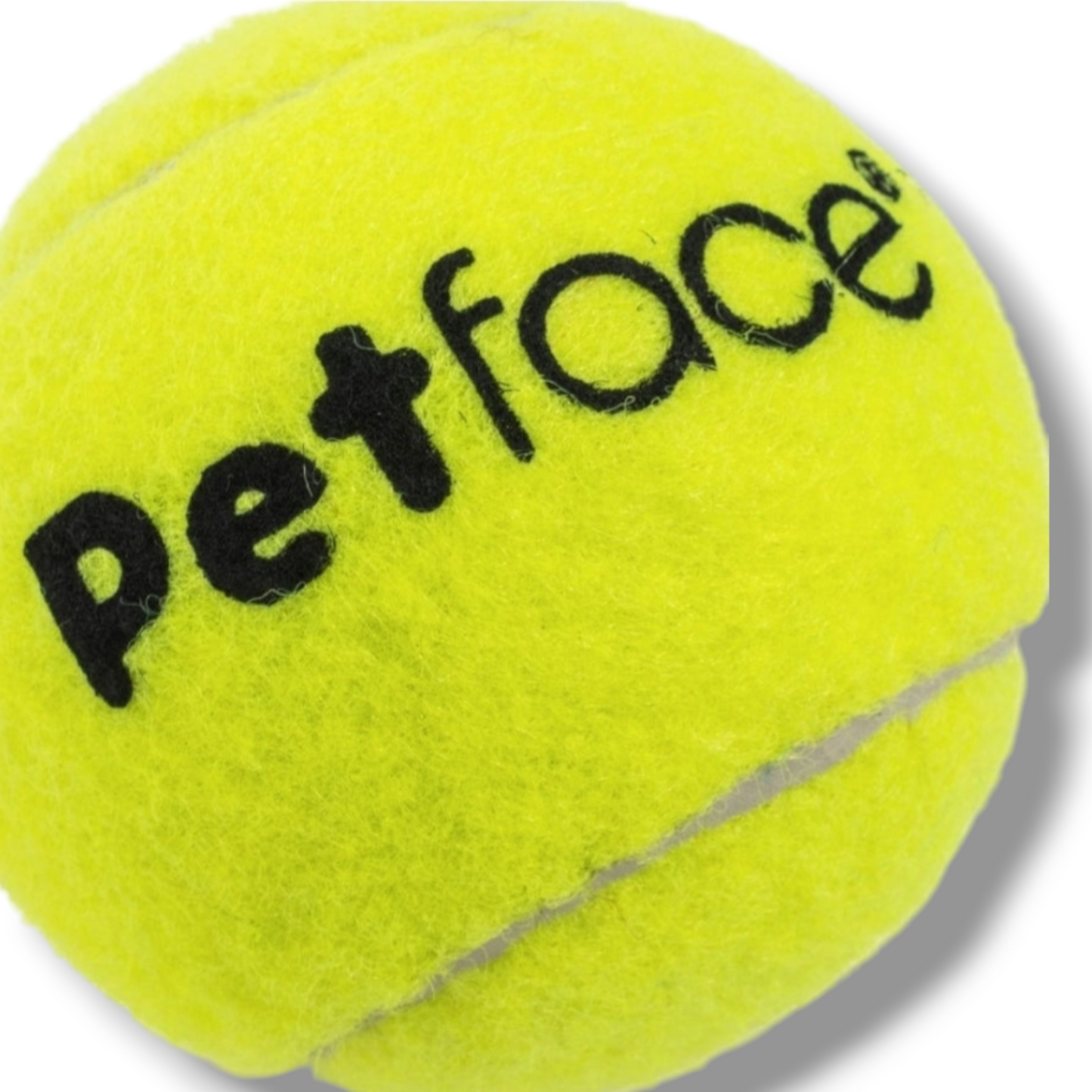 Tennis Balls 12 Pack