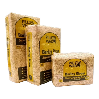 Pillow Wad Barley Straw