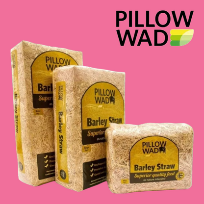 Pillow Wad Barley Straw