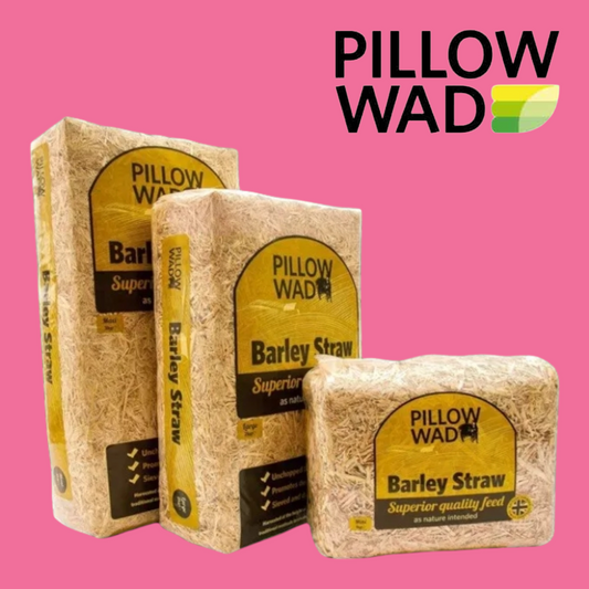 Pillow Wad Barley Straw