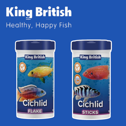 King British Cichlid Flakes & Sticks