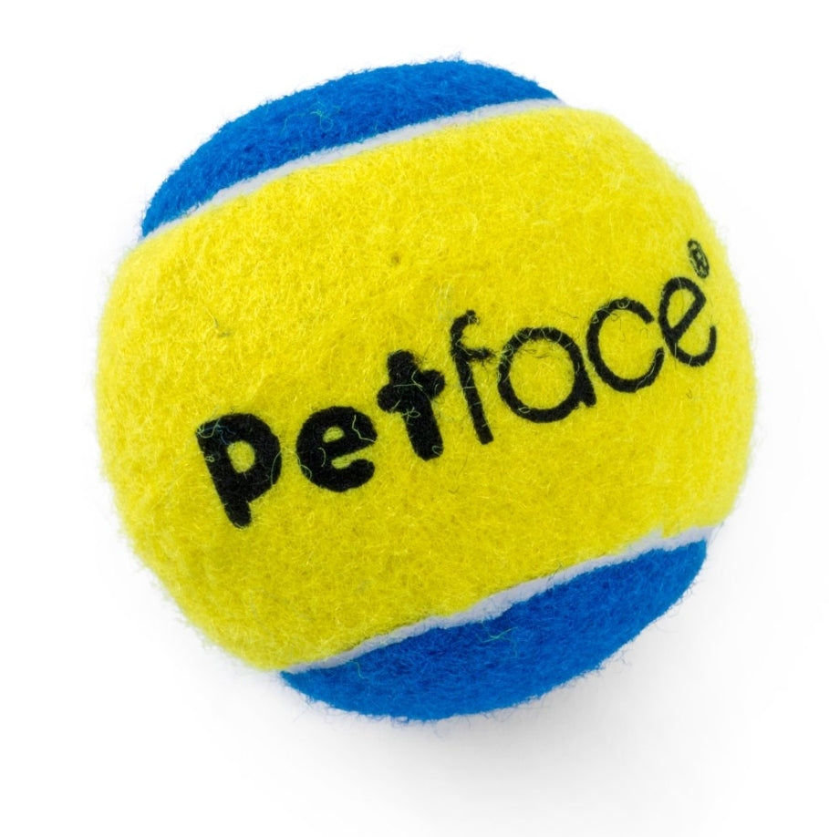 Squeaky Tennis Balls 3 Pack