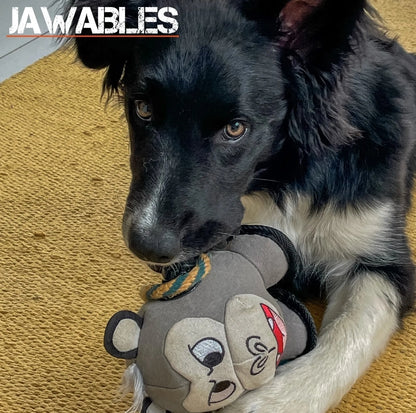 Ancol Jawables Bad Boys Multi Textured Dog Toy