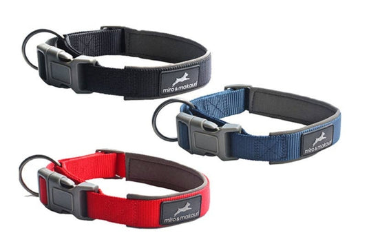 Neoprene Padded Nylon Clasp Dog Collar