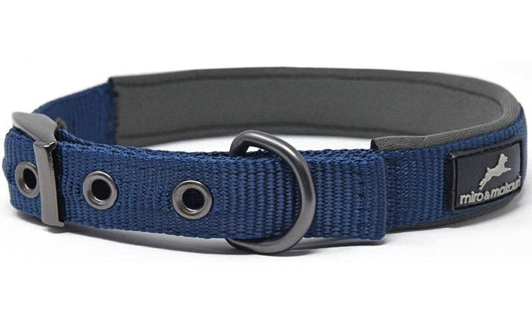 Padded Nylon Buckle Dog Collar