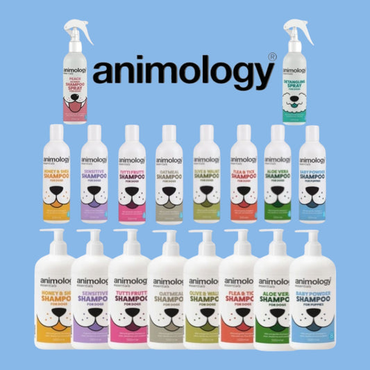Animology Essentials Shampoo, No Rinse Shampoo & Detangling Spray