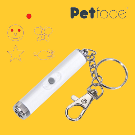 Catkins Laser Cat Chaser Toy