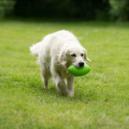 Toyz Rugby Ball Dog Toy